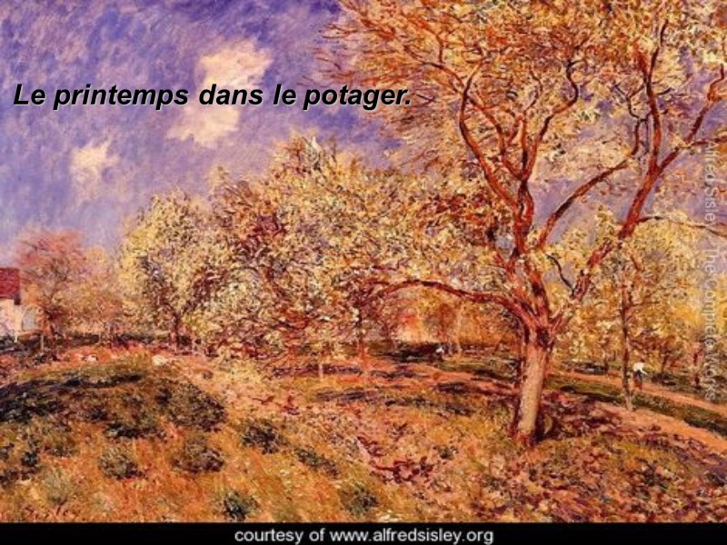 Le printemps dans le potager.